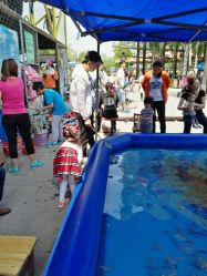 -大望京儿童游乐场