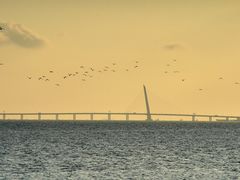 -福田红树林生态公园