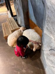 -Zoolung Zoolung动物主题公园(海信广场店)