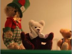 -济州岛泰迪熊博物馆