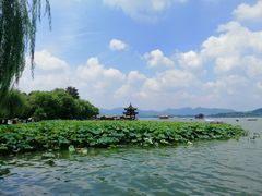 -西湖外事游船(湖滨二公园外事游船码头)