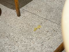 -喜茶(深圳喜荟城店)
