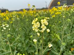 -中国天府农业博览园