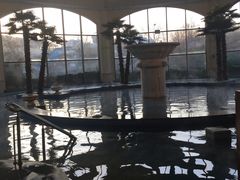 -仁爱团泊湖温泉中心