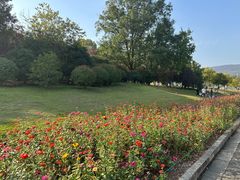 -紫金山山顶公园