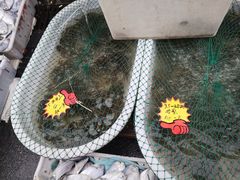 -芦潮港集贸市场