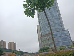-日照君临天下大酒店
