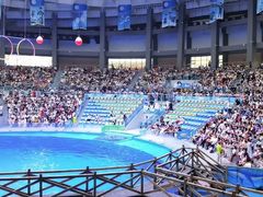 -海合安成都极地海洋公园