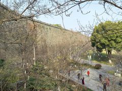 -南京城墙景区