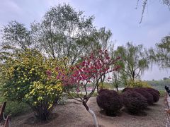 -燕郊植物园