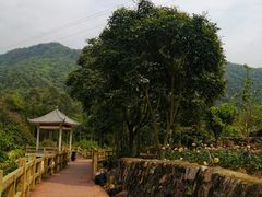 -四会奇石河风景区