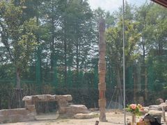 -上海野生动物园老虎餐厅