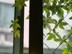 -绿房子方寸咖啡(星海名城店)