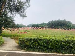 -保利石象湖景区