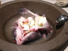 -鲜潭蒸汽石锅鱼(五道口购物中心店)