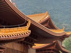 -深圳仙湖植物园