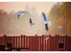 -中南财经政法大学(首义校区)