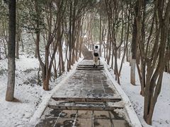 -华清宫景区