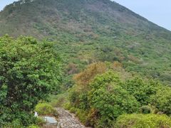 -风云岭森林公园