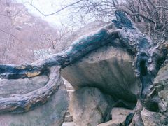 -黑龙潭风景区
