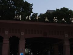 校门-湖北中医药大学(昙华林校区)