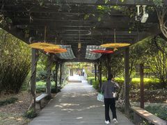-白马涧龙池景区