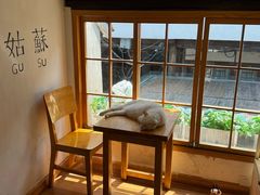 -猫的天空之城概念书店(苏州平江店)