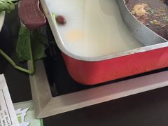 -新辣道鱼火锅(领展购物广场·中关村店)