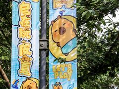 -光启城时尚购物中心