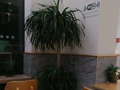 -宋益驴蹄子面肉夹馍(辛家庙店)