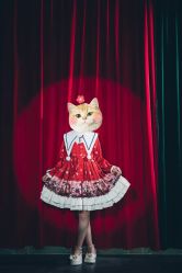 -WPlus明星肖像亲子全家福摄影