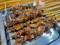 -民族烤羊·烤羊肉串·烤羊排(南城店)