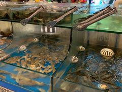 -梅园国际大酒店·自助餐厅(光明港店)
