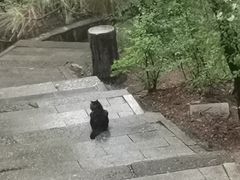 -北山公园