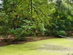 -长白岛森林公园