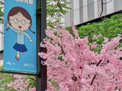 -东莞松山湖万象汇