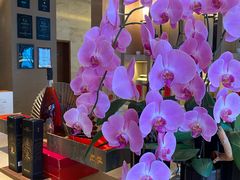 -JWMARRIOTT无锡苏宁JW万豪酒店-悦府65中餐厅