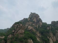 -大岭沟猕猴桃谷风景区