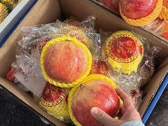 -西郊国际农产品交易中心