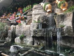 -南宫五洲植物乐园