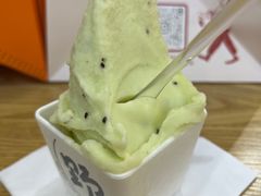 -野人先生Gelato(上海长宁龙之梦店)