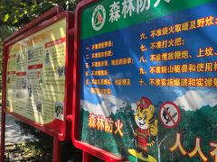 -中山市树木园