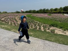 -歌斐颂巧克力小镇