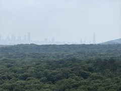 -灵谷景区