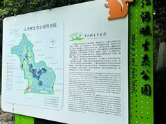 -西湖风景区-江洋畈生态公园