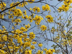 -哈哈曲艺社(西门闲亭店)