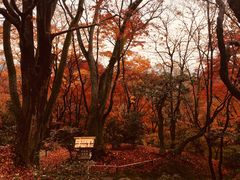 景点-常寂光寺