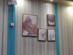 -猫小院猫主题咖啡厅(北锣店)