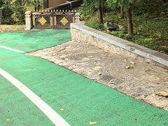 -四门塔风景区