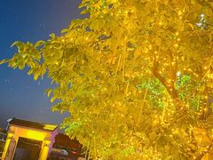 -泰山王老三串店(光彩店)